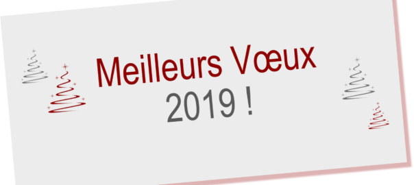 Meilleurs Vœux 2019 !